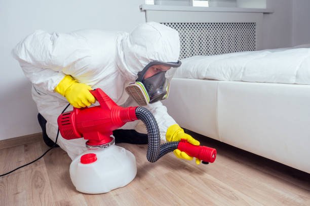 Real Estate Pest Inspections in St Rose, LA